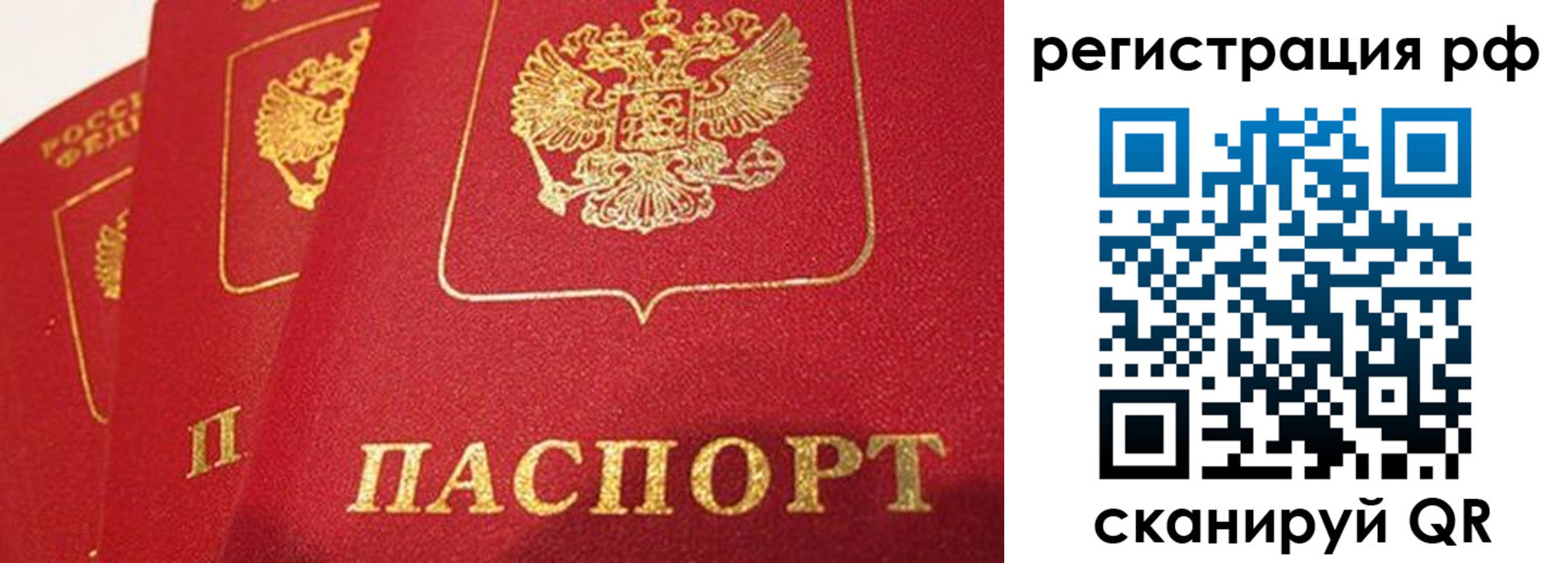 прописка поиск в Чите